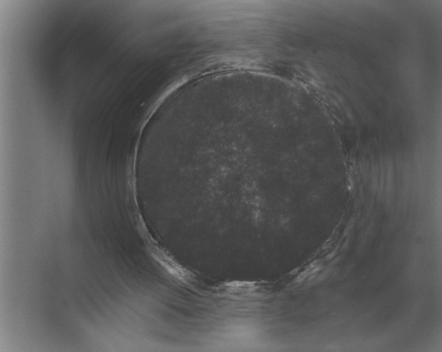 X0000073540052200608141103