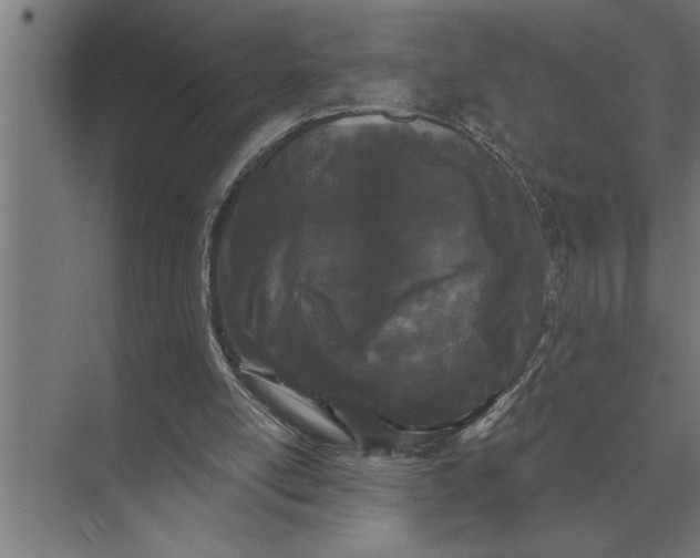 X0000073540054200608141103