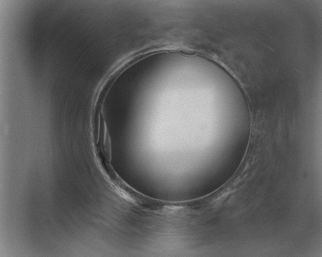 X0000073540055200608141103