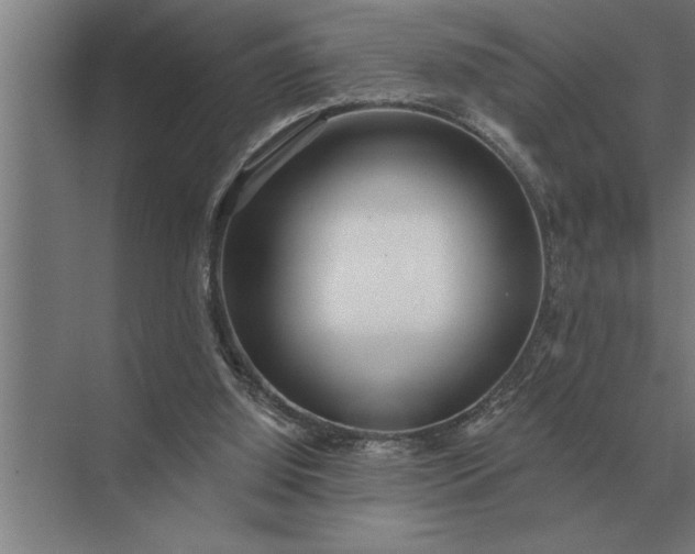 X0000073540060200608141103