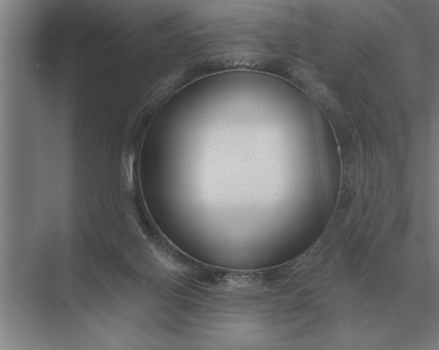 X0000073540070200608141103