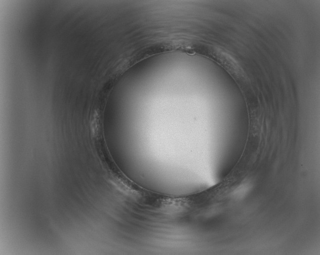 X0000073540077200608141103