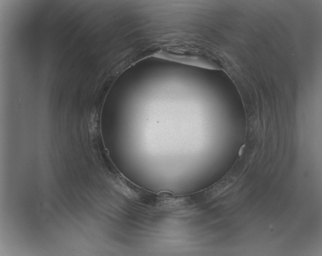 X0000073540081200608141103