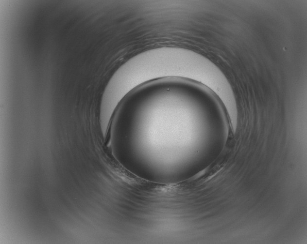 X0000073540092200608141103