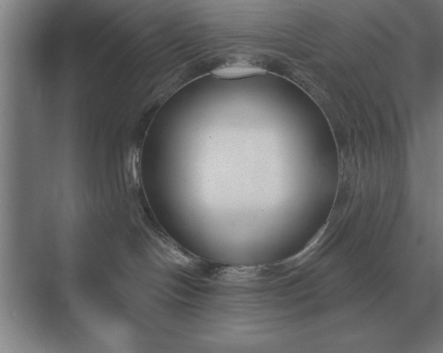 X0000073540094200608141103