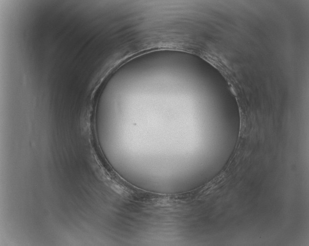 X0000073540098200608141103