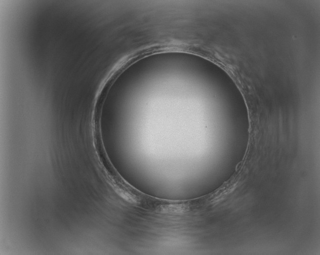 X0000073540102200608141102