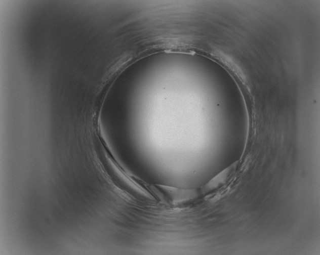 X0000073540105200608141102