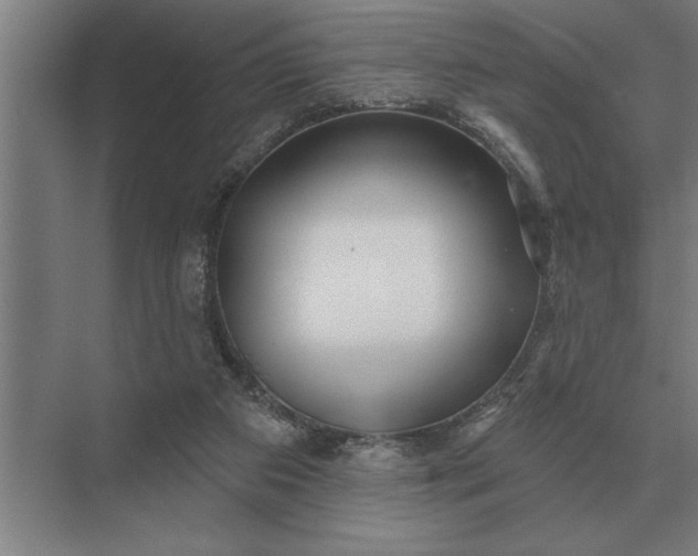 X0000073540113200608141102