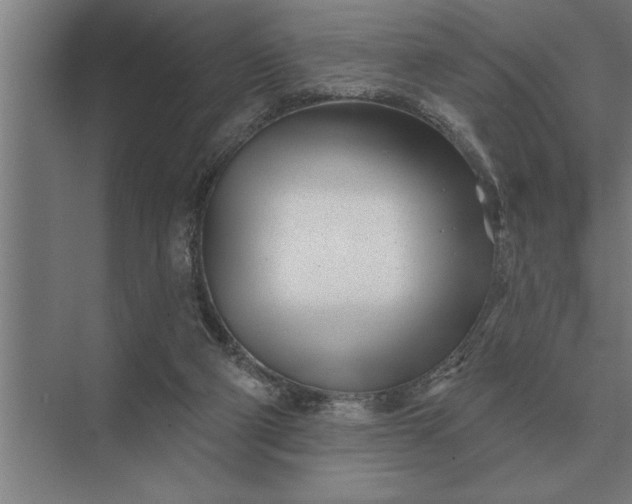 X0000073540114200608141102