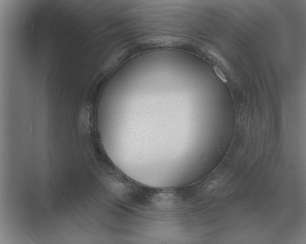 X0000073540119200608141102