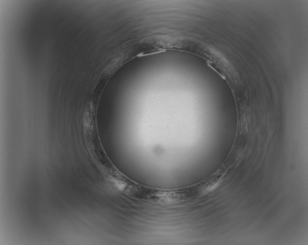 X0000073540121200608141102