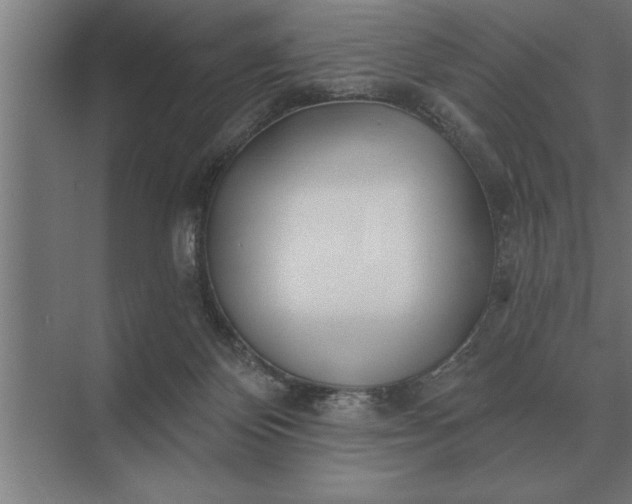 X0000073540124200608141102