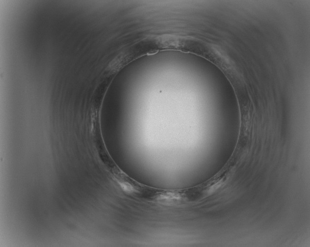 X0000073540125200608141102