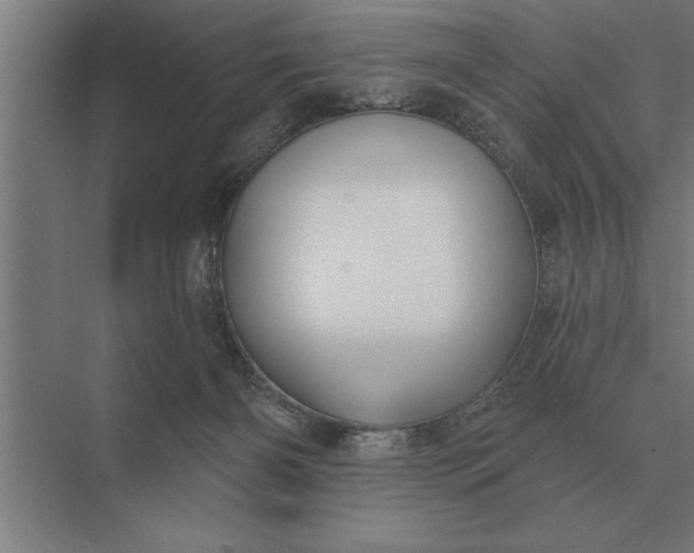 X0000073540126200608141102