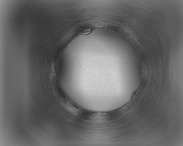 X0000073540128200608141102