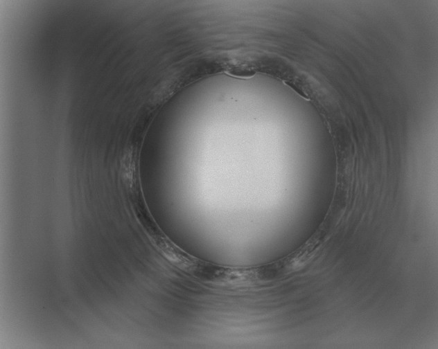 X0000073540129200608141102
