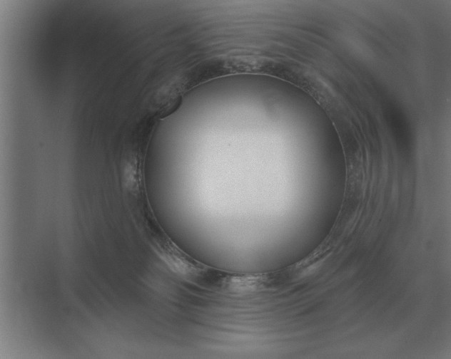 X0000073540134200608141102