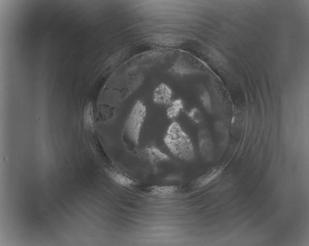 X0000073540143200608141102