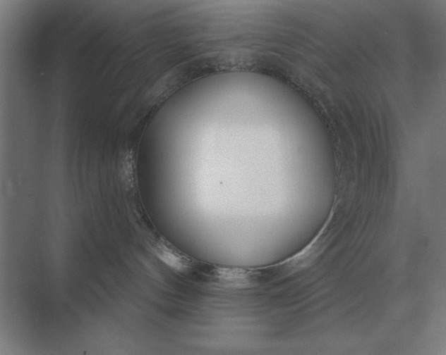 X0000073540144200608141102