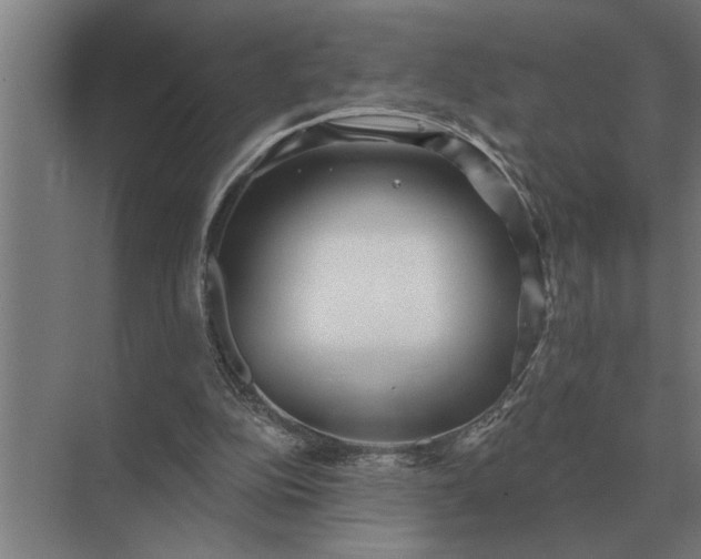 X0000073540152200608141101