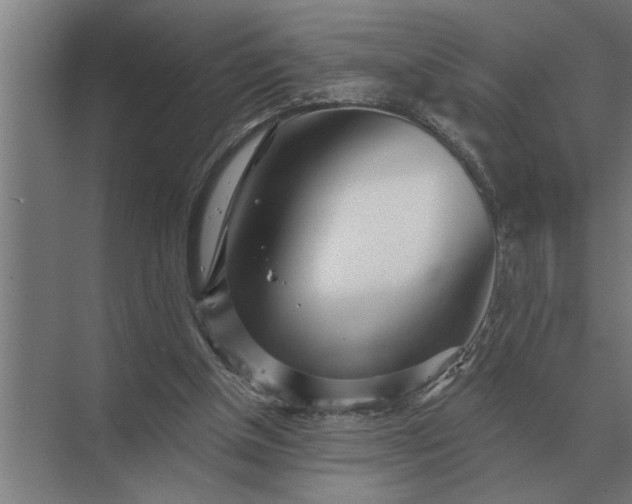 X0000073540154200608141101