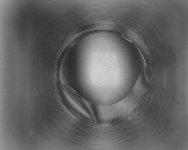 X0000073540156200608141101
