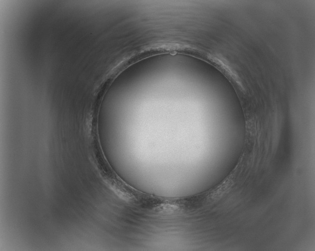 X0000073540159200608141101