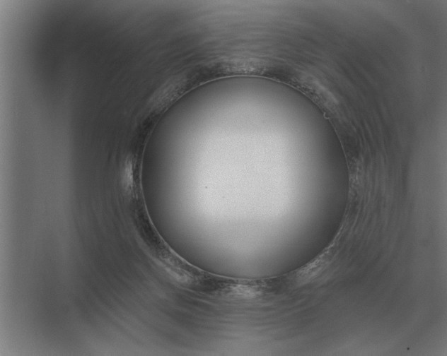 X0000073540166200608141101