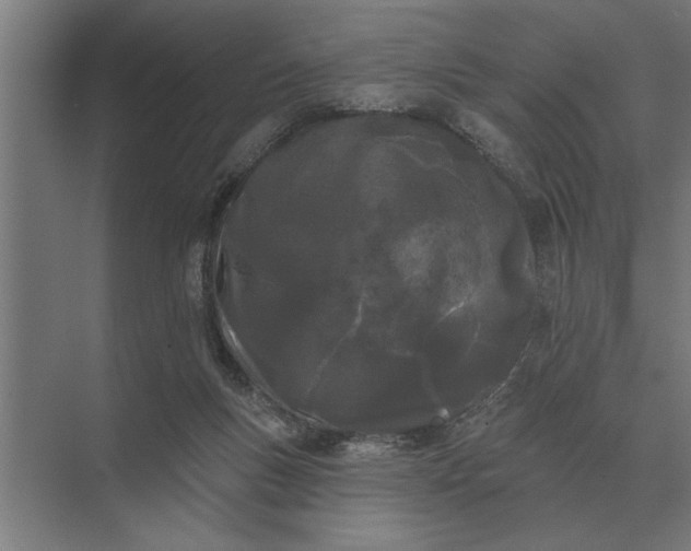 X0000073540167200608141101