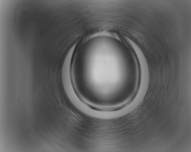 X0000073540172200608141101