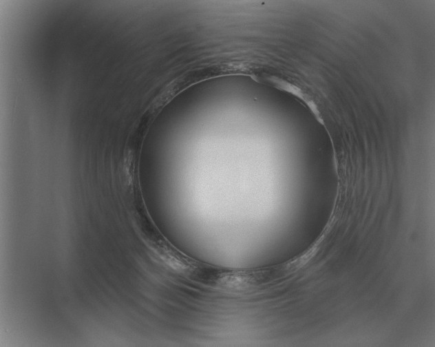 X0000073540174200608141101