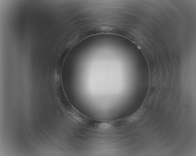 X0000073540176200608141101