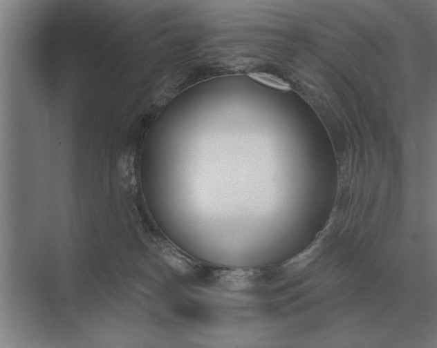 X0000073540182200608141102