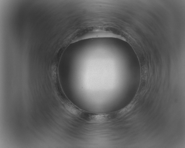 X0000073540184200608141102