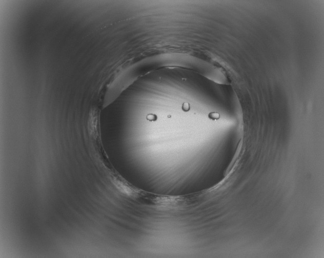 X0000073540192200608141102