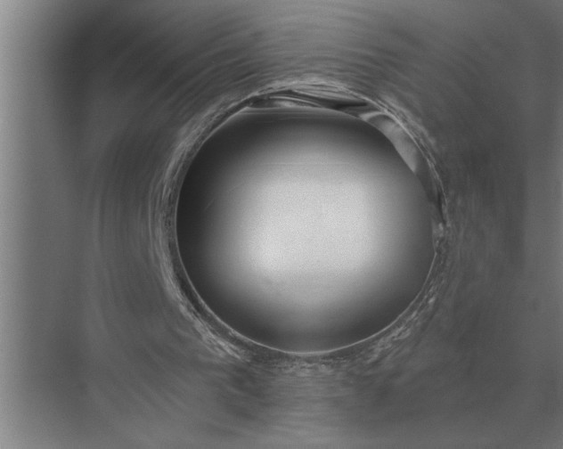 X0000073540193200608141101