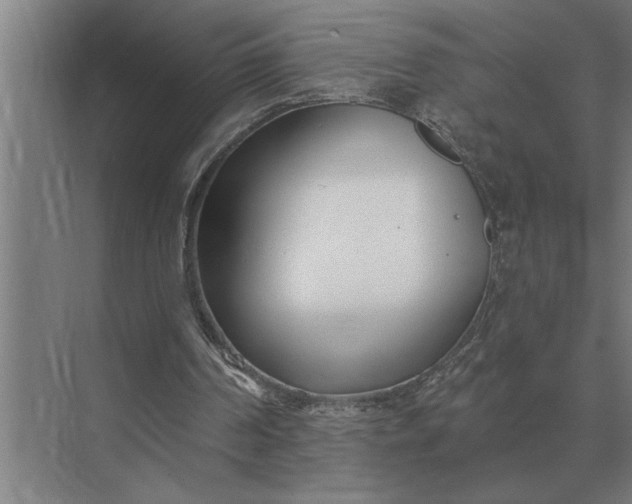 X0000073540194200608141101