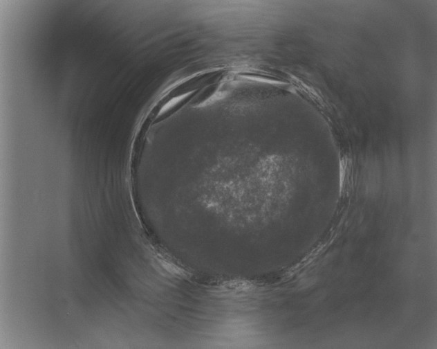 X0000073540195200608141101