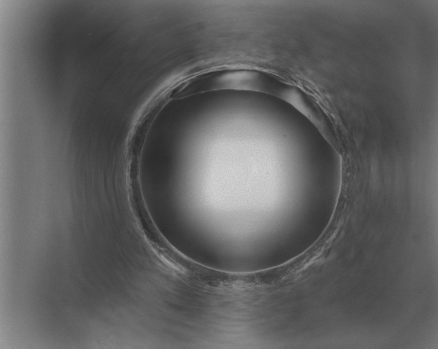 X0000073540197200608141101