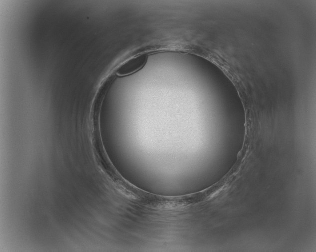 X0000073540198200608141101