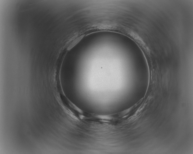 X0000073540201200608141101
