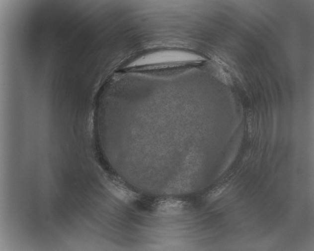 X0000073540206200608141101