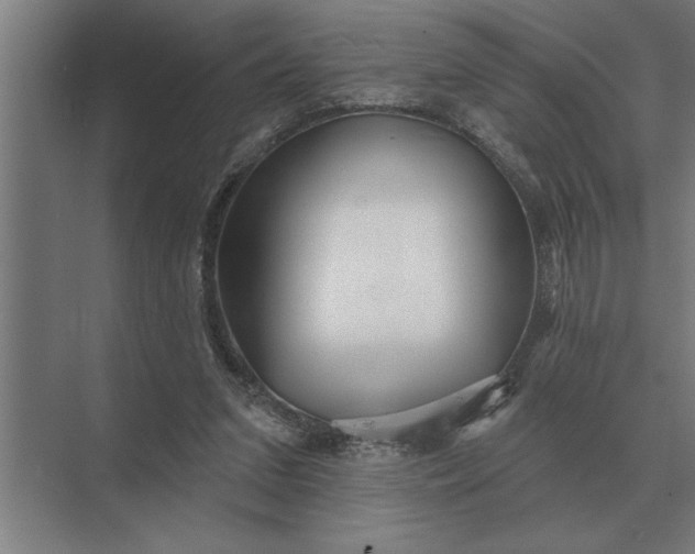 X0000073540207200608141101