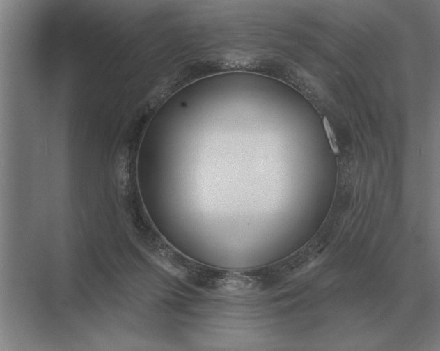 X0000073540215200608141101