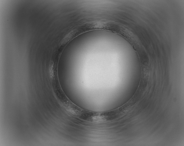 X0000073540216200608141101