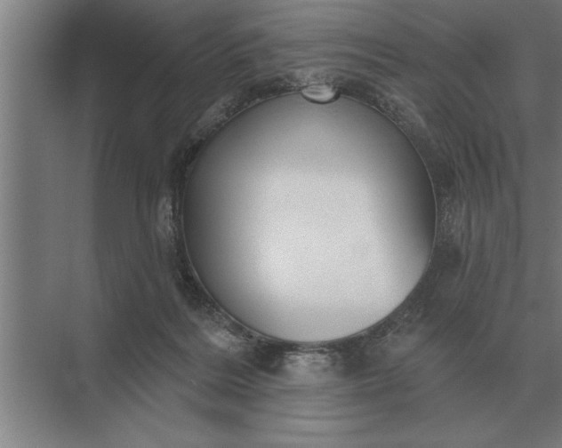 X0000073540220200608141100