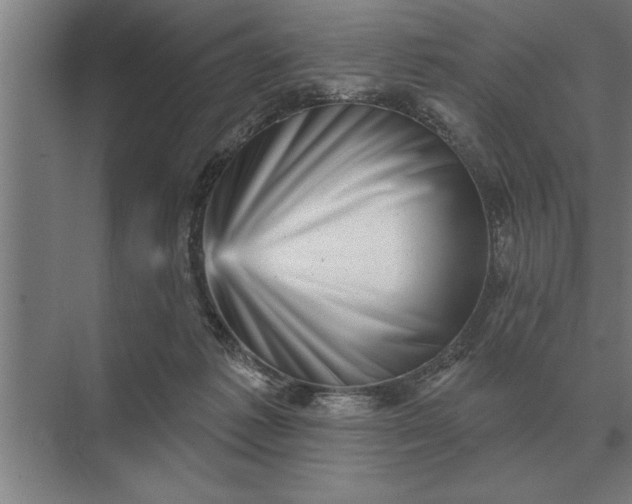 X0000073540221200608141100