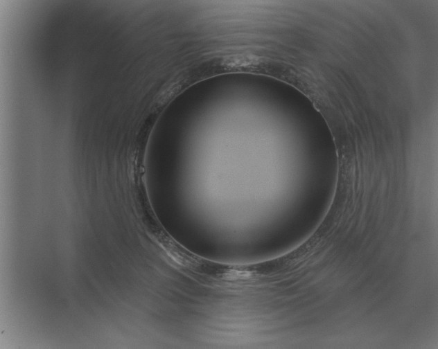 X0000073540227200608141100