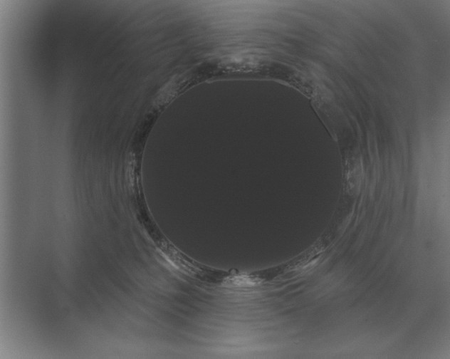 X0000073540231200608141100